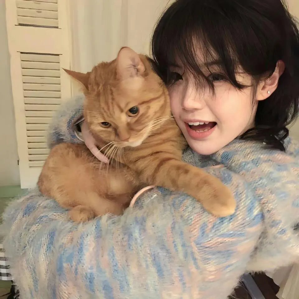香港大营救